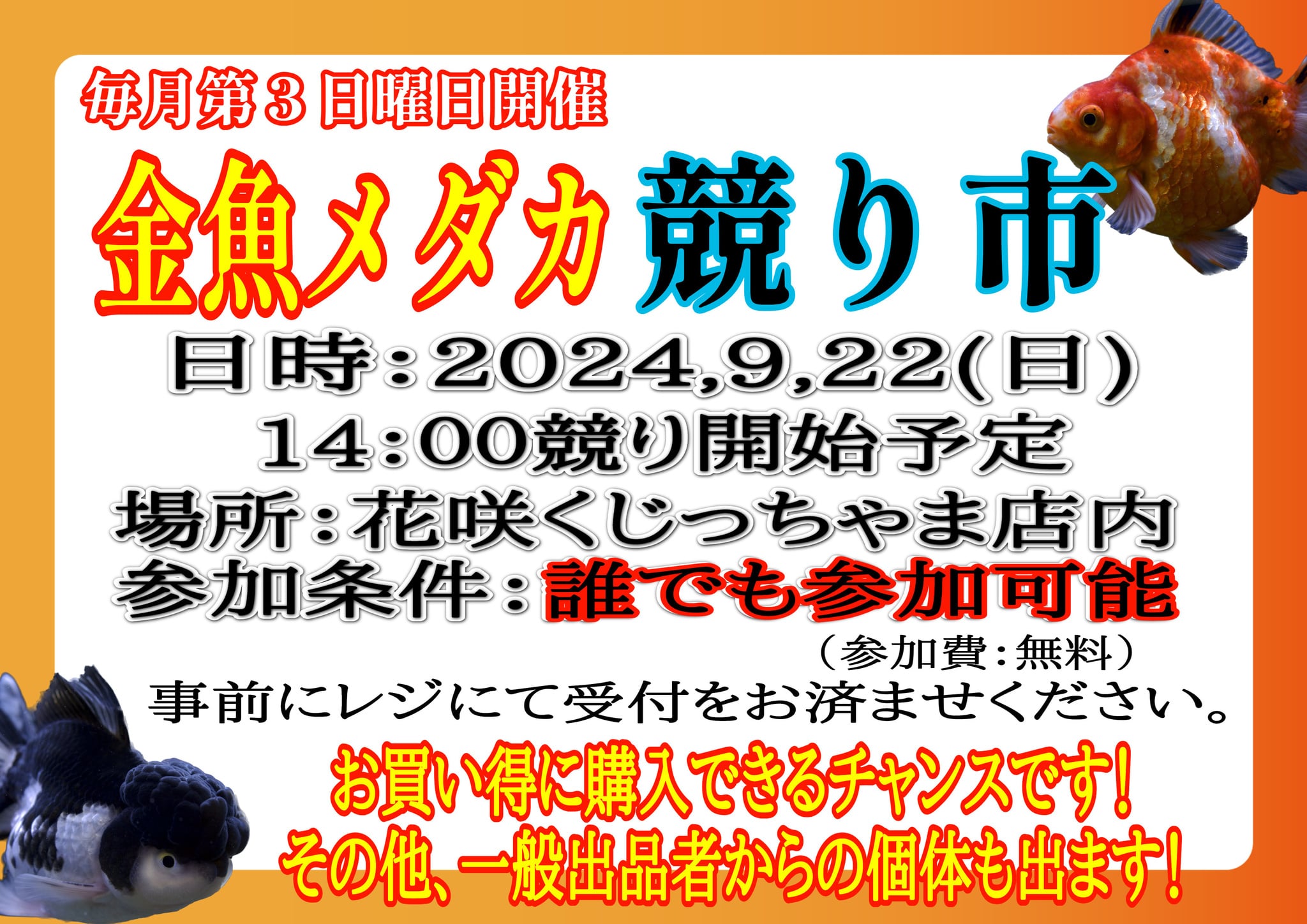 佐賀の金魚メダカ小鳥小動物爬虫類の販売店花咲くじっちゃま